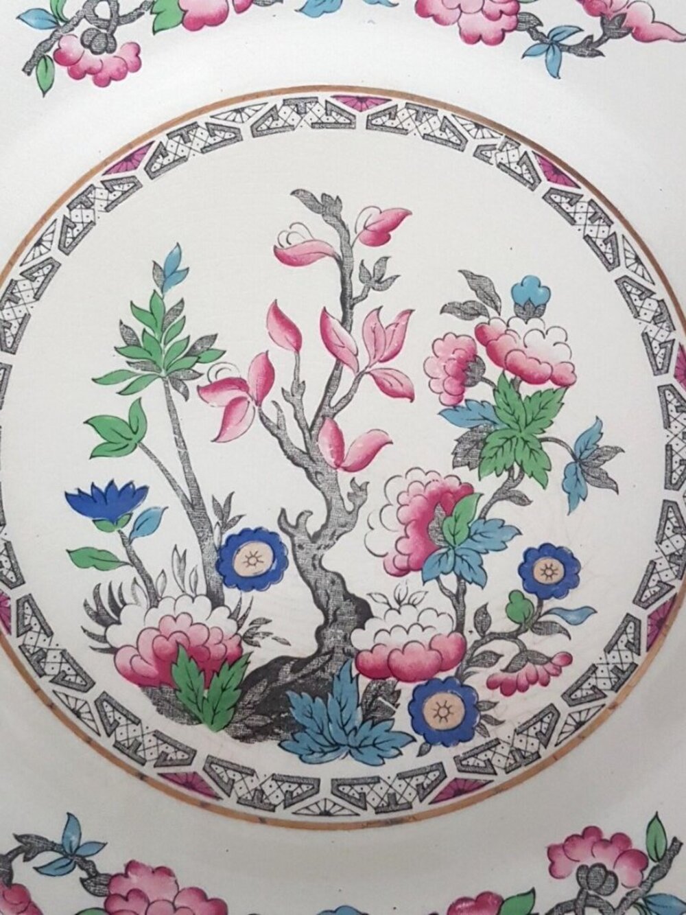 Vintage J&G Meakin Indian Tree Dinner Plates Set of 2 SOL 1912 England - Picture 8 of 9